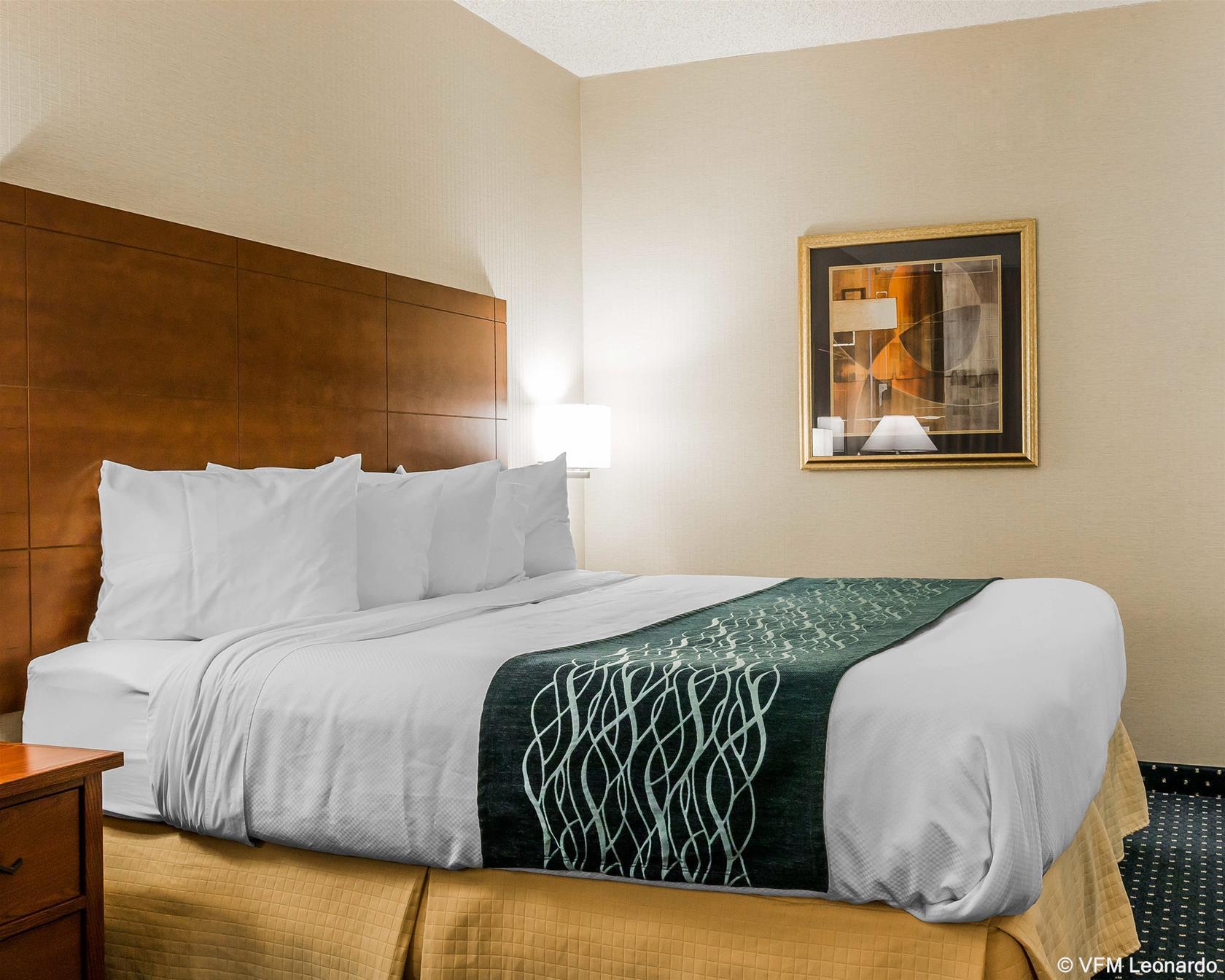 Quality Inn Auburn Hills - Detroit North Exteriör bild